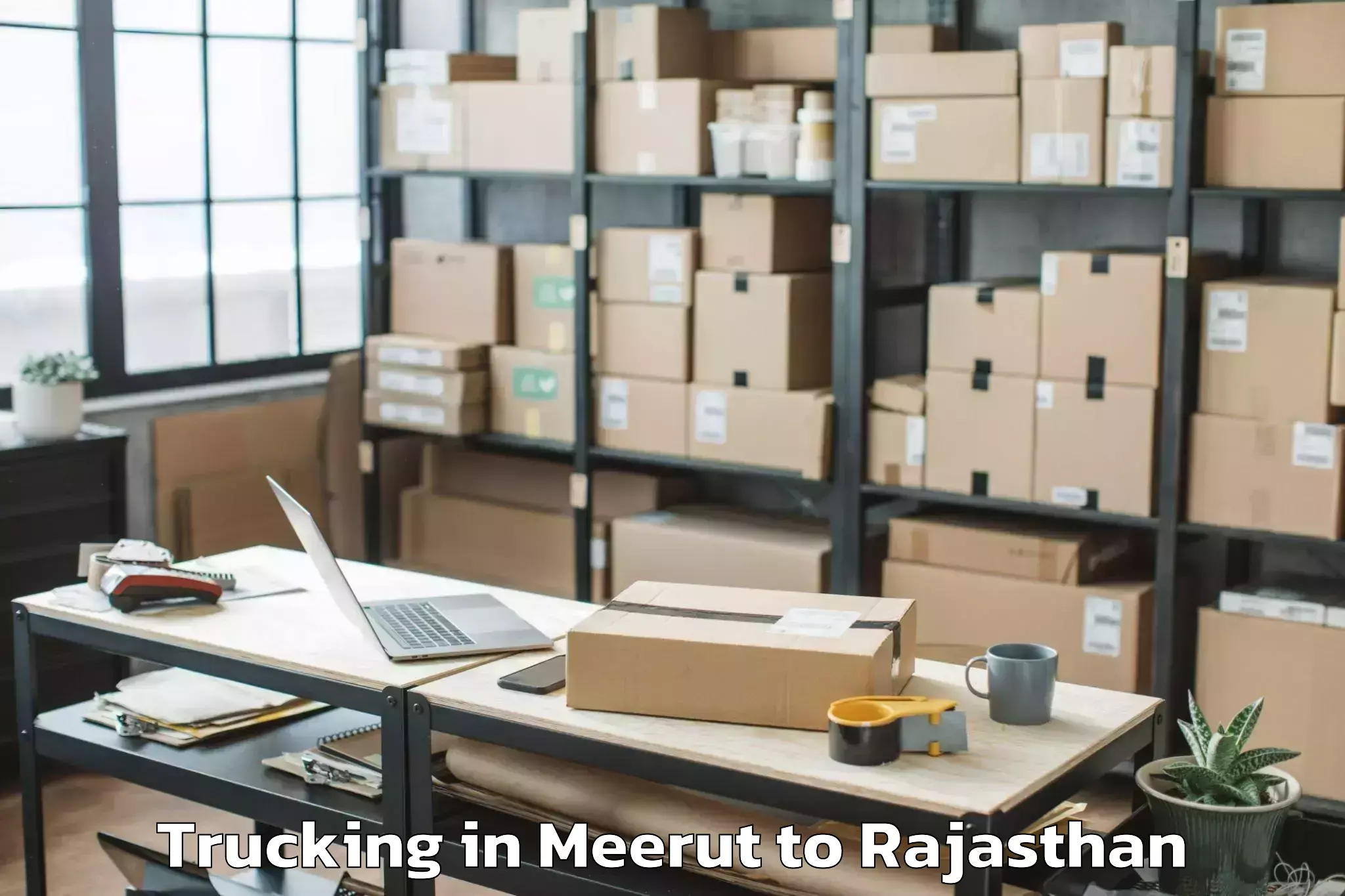 Book Meerut to Amet Trucking Online